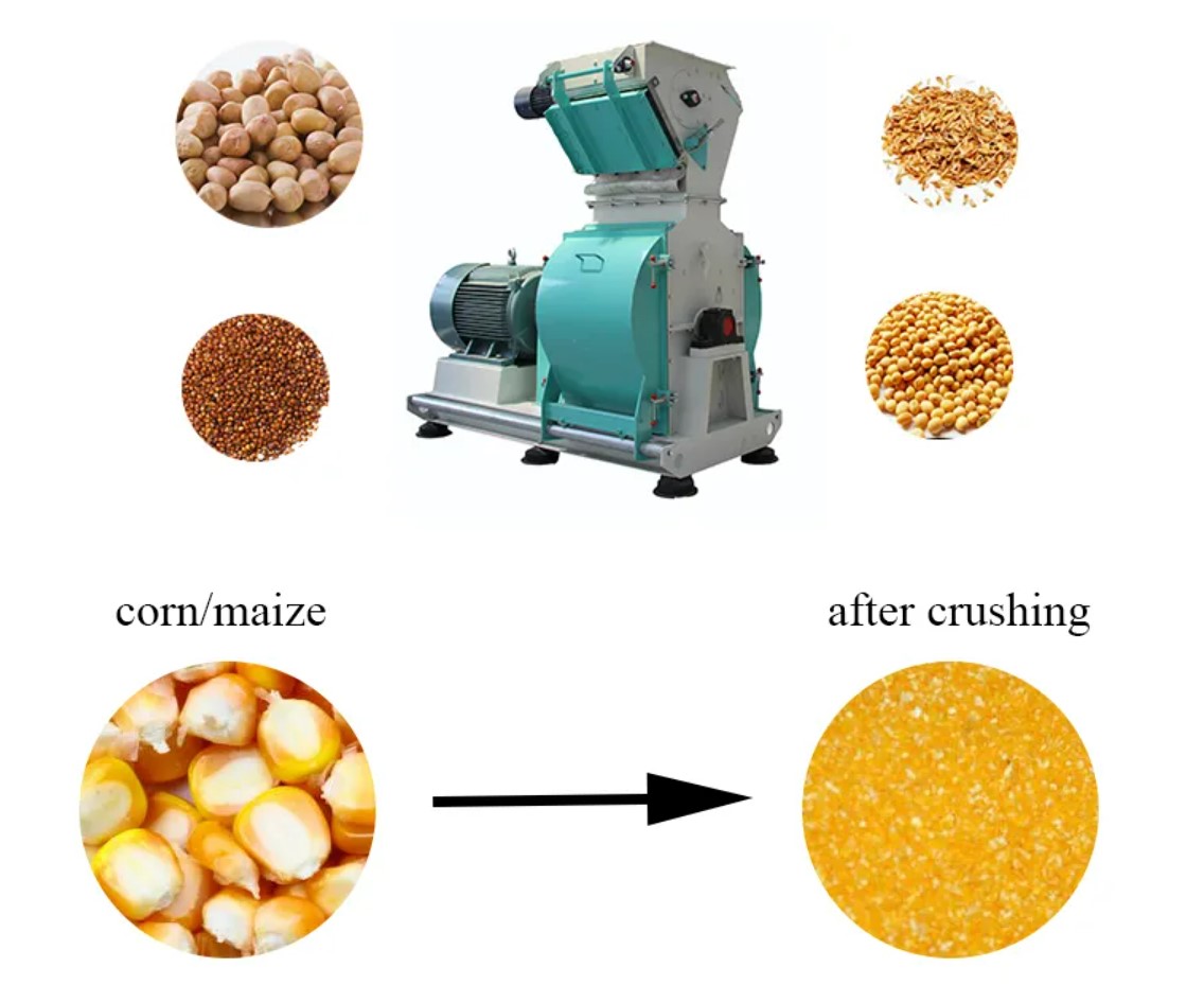 Feed Pellet Machine Line-2